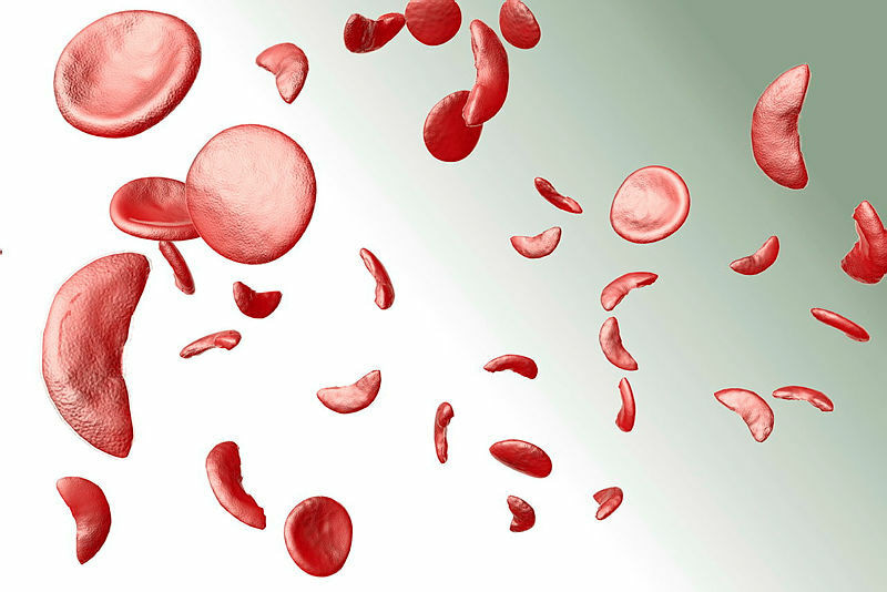 Research Communities by Springer Nature