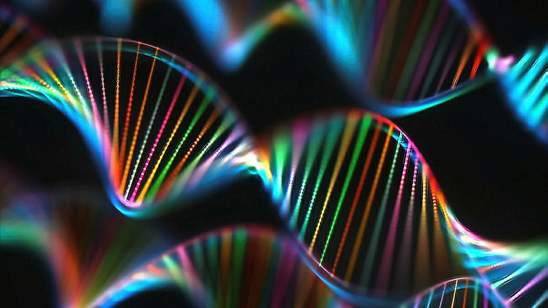 National DNA Day Q&A with Hereditas' Editor-in-Chief