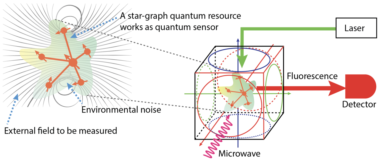 Revolutionary Quantum Resource Boosts Magnetic Field Measurement Accuracy