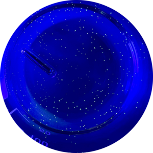 Go to the profile of Santiago Sánchez-Alberola