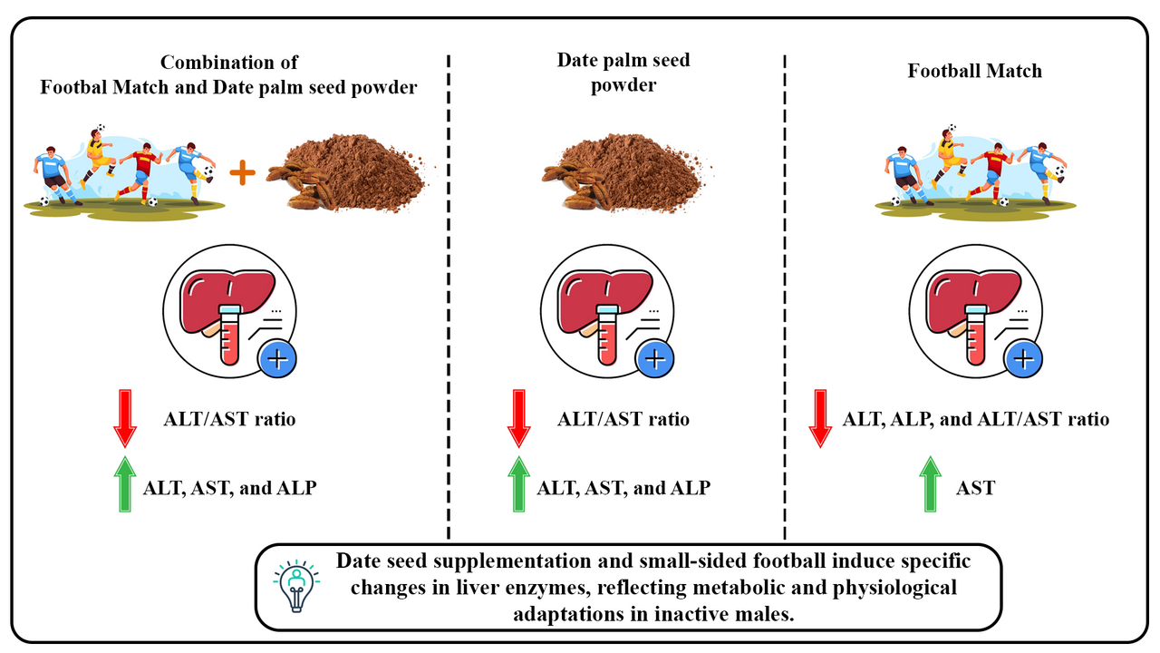 Effects of small sided football and date seed (Phoenix dactylifera) powder supplementation on liver enzymes in inactive college subjects: an interventional study