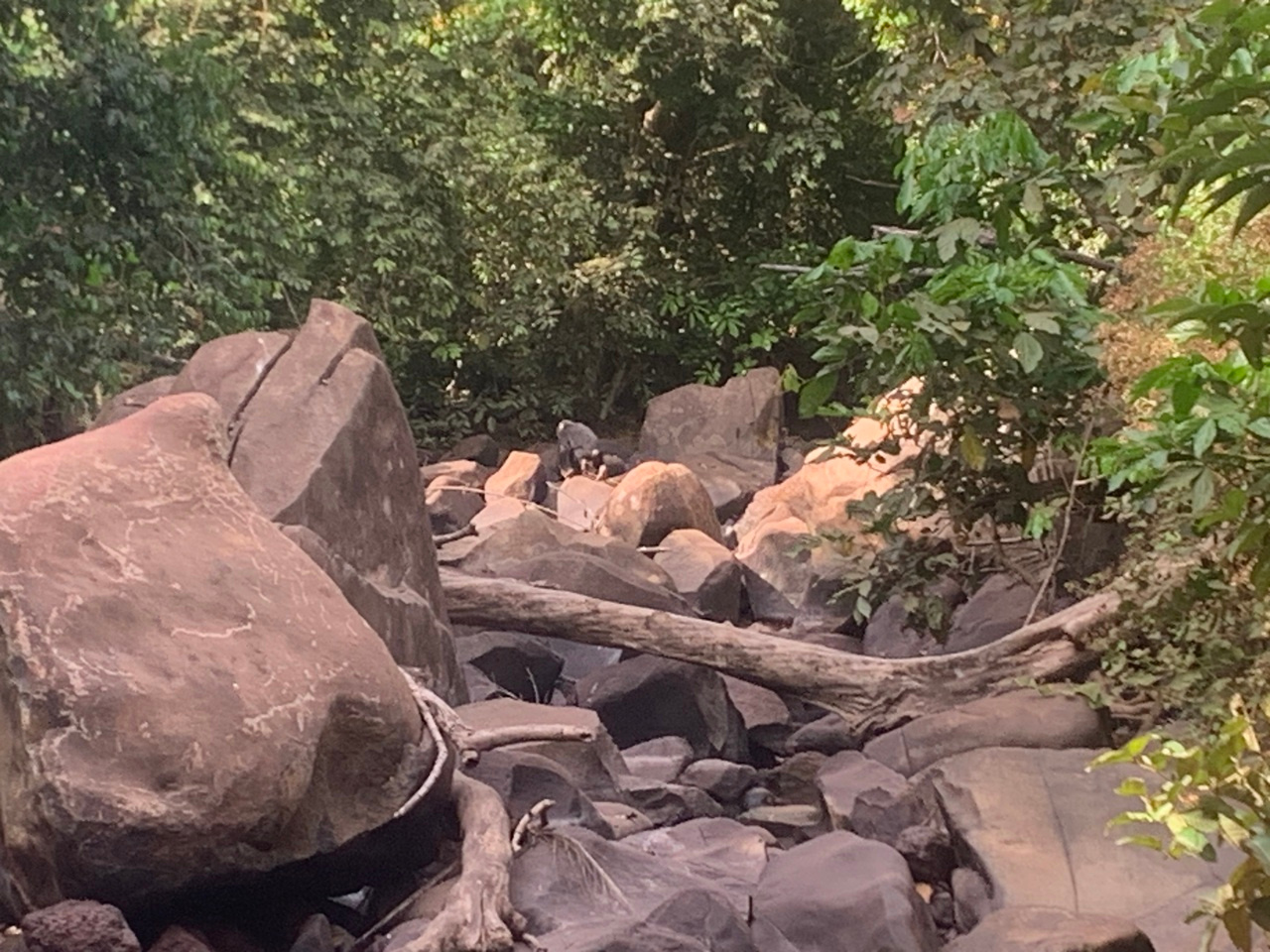 Hello, my name is Moussa