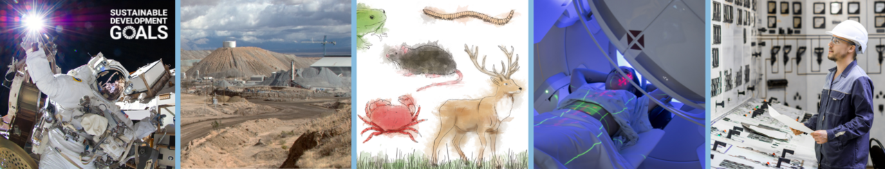 The Contribution of Radiological Protection to Sustainable Development Webinar