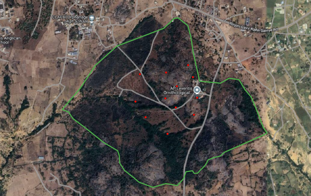 Moth Composition In Amurum Forest Reserve, Nigeria