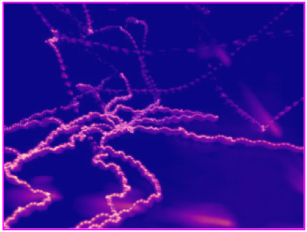Linking cognitive strategy, neural mechanism, and movement statistics in group foraging behaviors