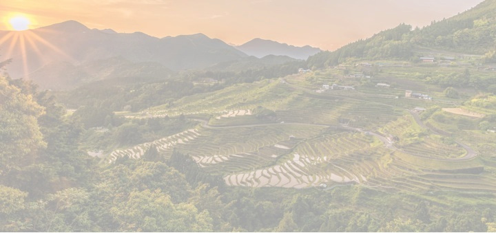 Bacteria vs fungi: not even a struggle