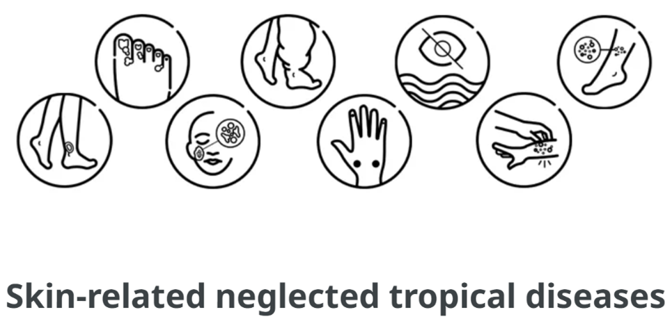 Skin Neglected Tropical Diseases: Why One Health is the way forward 