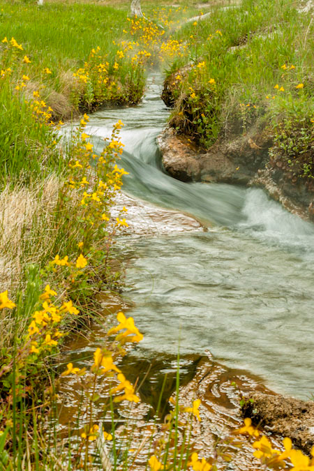 Ancient balancing selection in a bacterium