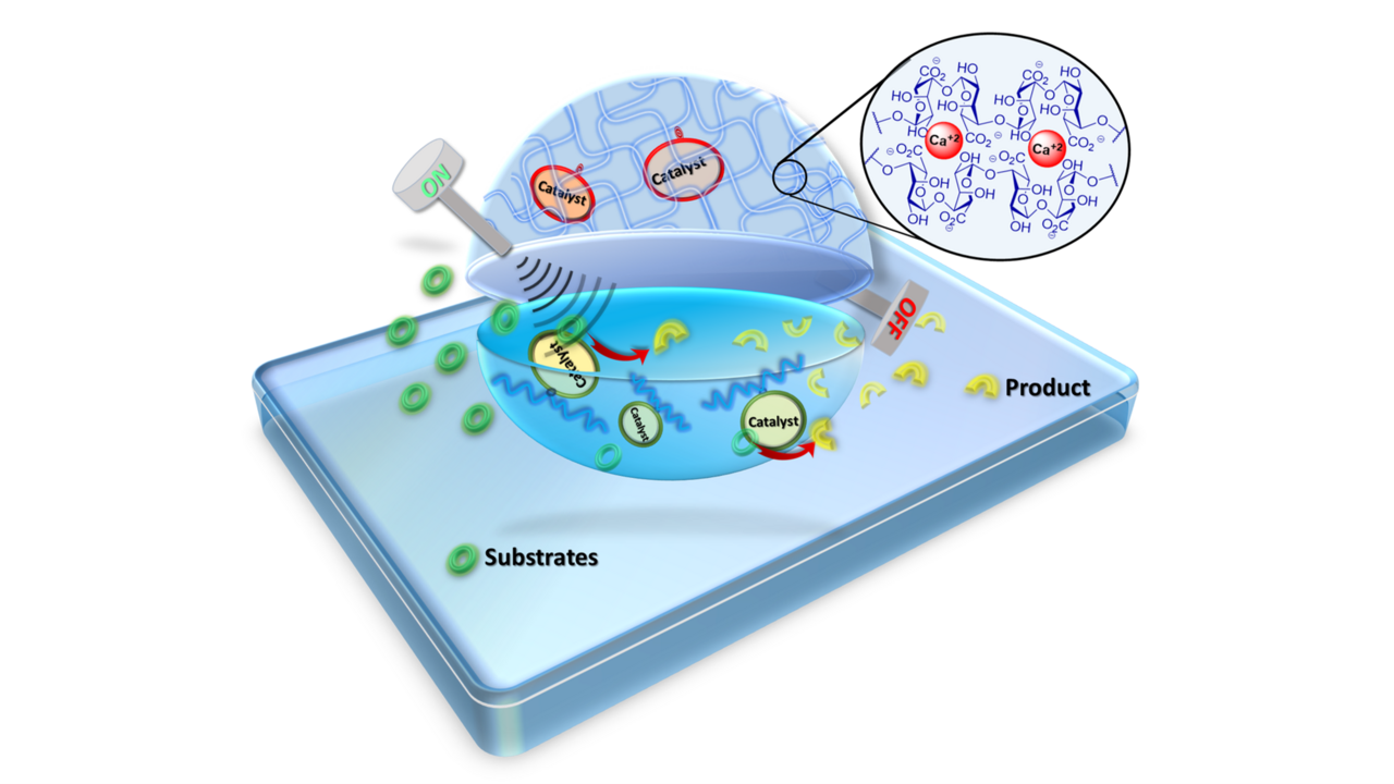 Ultrasonication: A Switch for Aqueous Organocatalysis