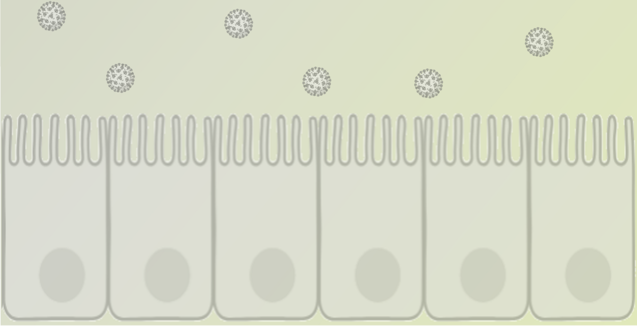 Severe diarrhea in newborns: Tiny tummy, big mystery