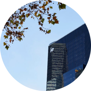 Go to the profile of Marina Amorós Aldea