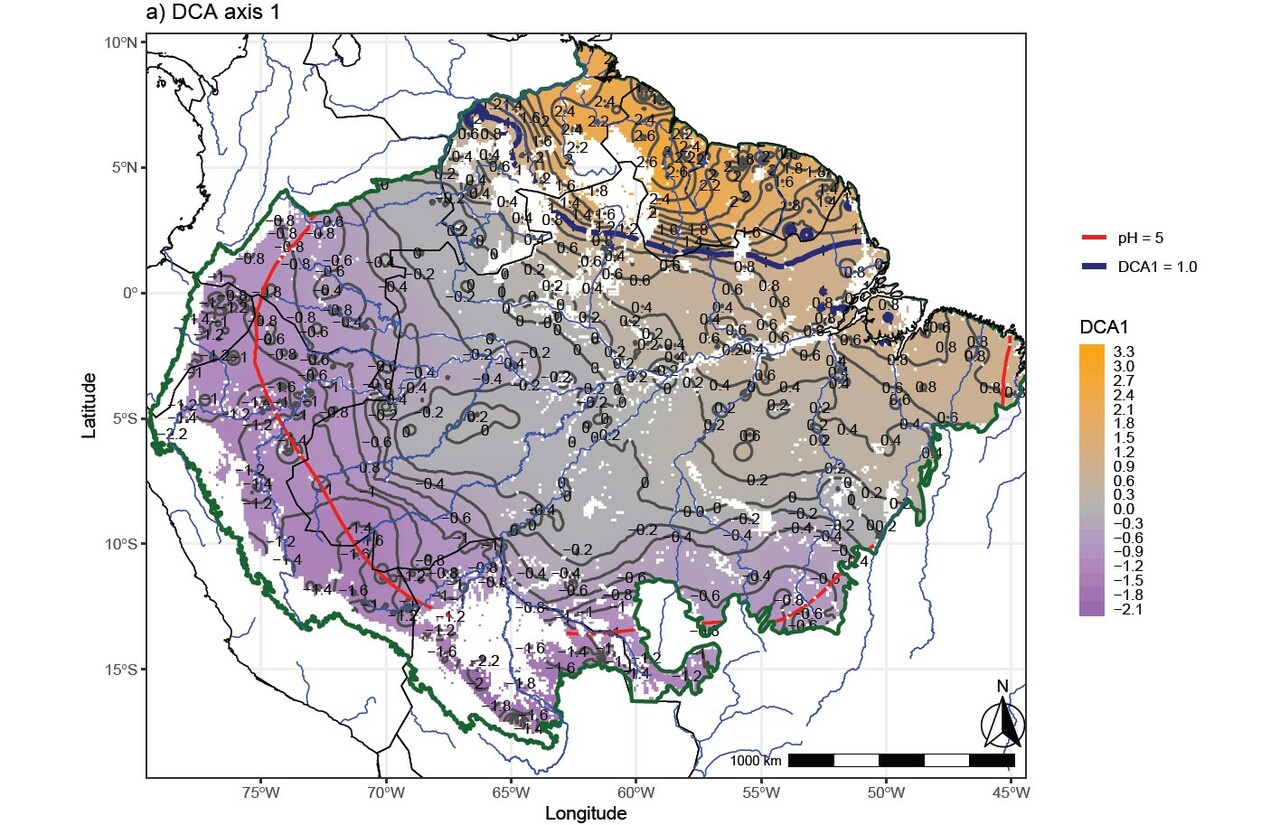 The power of networks for the knowledge of Amazonian biodiversity