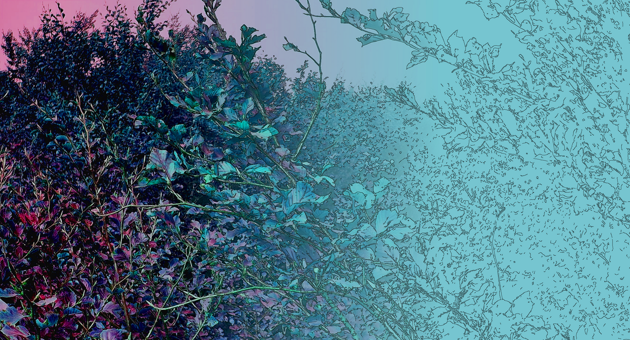 Temporal dynamics in vertical leaf angles can confound vegetation indices widely used in Earth observations