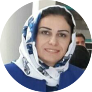 Go to the profile of Hamdia Mirkhan Ahmed