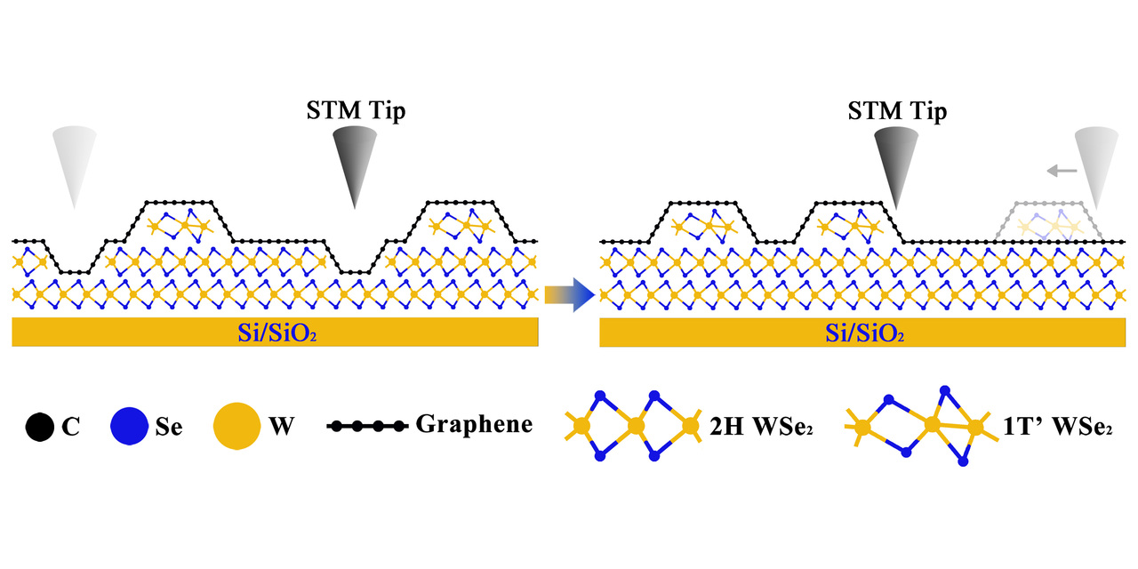 Realizing of the relativistic artificial molecule with tunable coupling and orbitals by two coupled graphene quantum dots