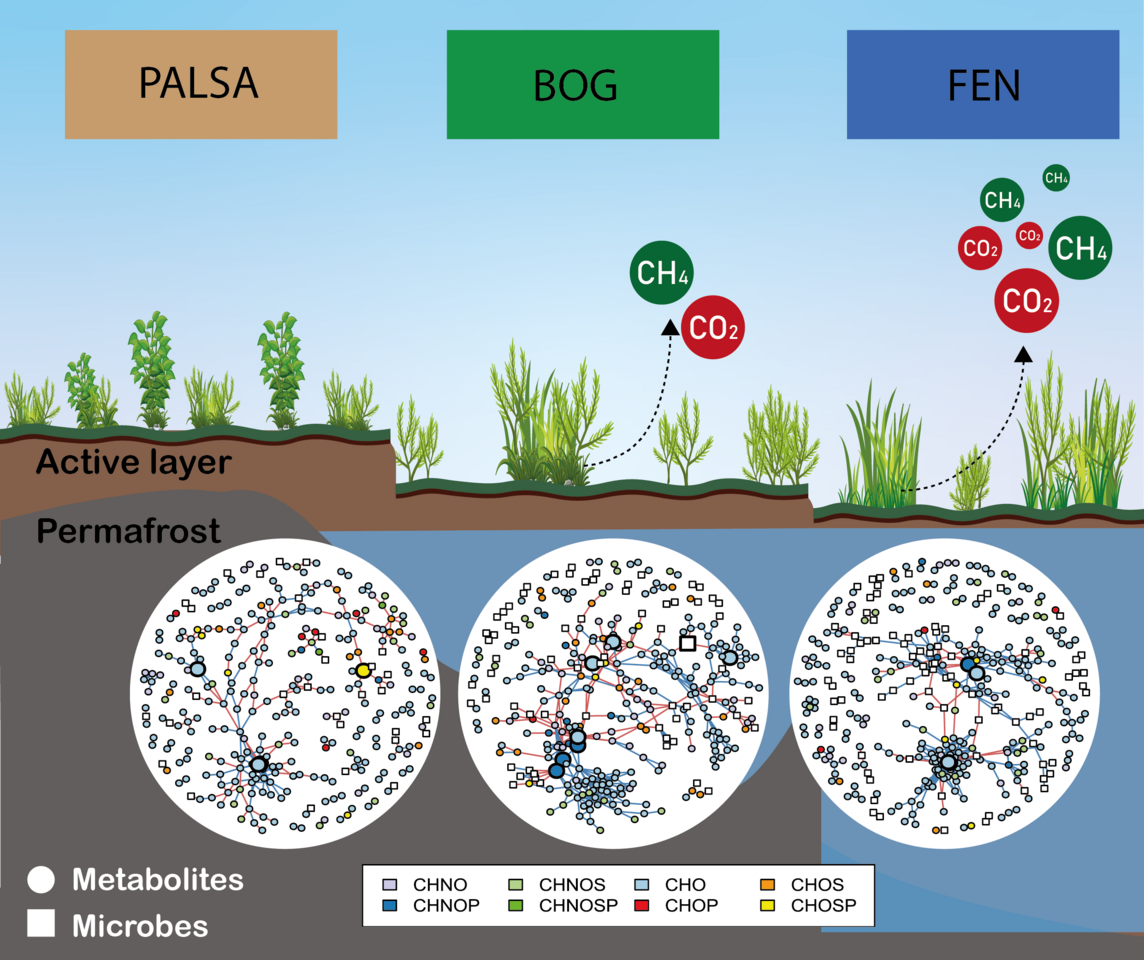 Behind the scenes: Microbiome-metabolite linkages drive greenhouse gas dynamics over a permafrost thaw gradient