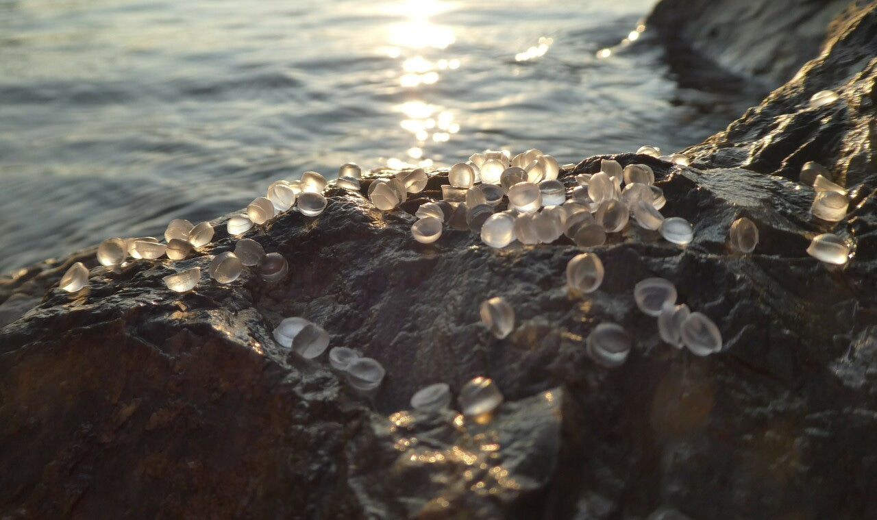 Photoaging enhances the leaching of di(2-ethylhexyl) phthalate and transformation products from polyvinyl chloride microplastics into aquatic environments