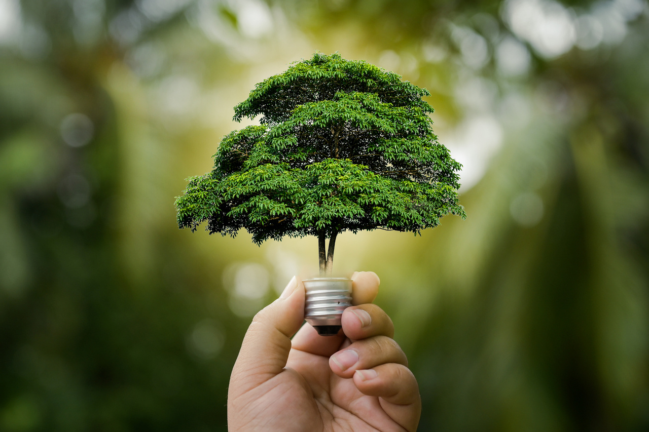 Launching BMC Sustainability: supporting research for a more sustainable future