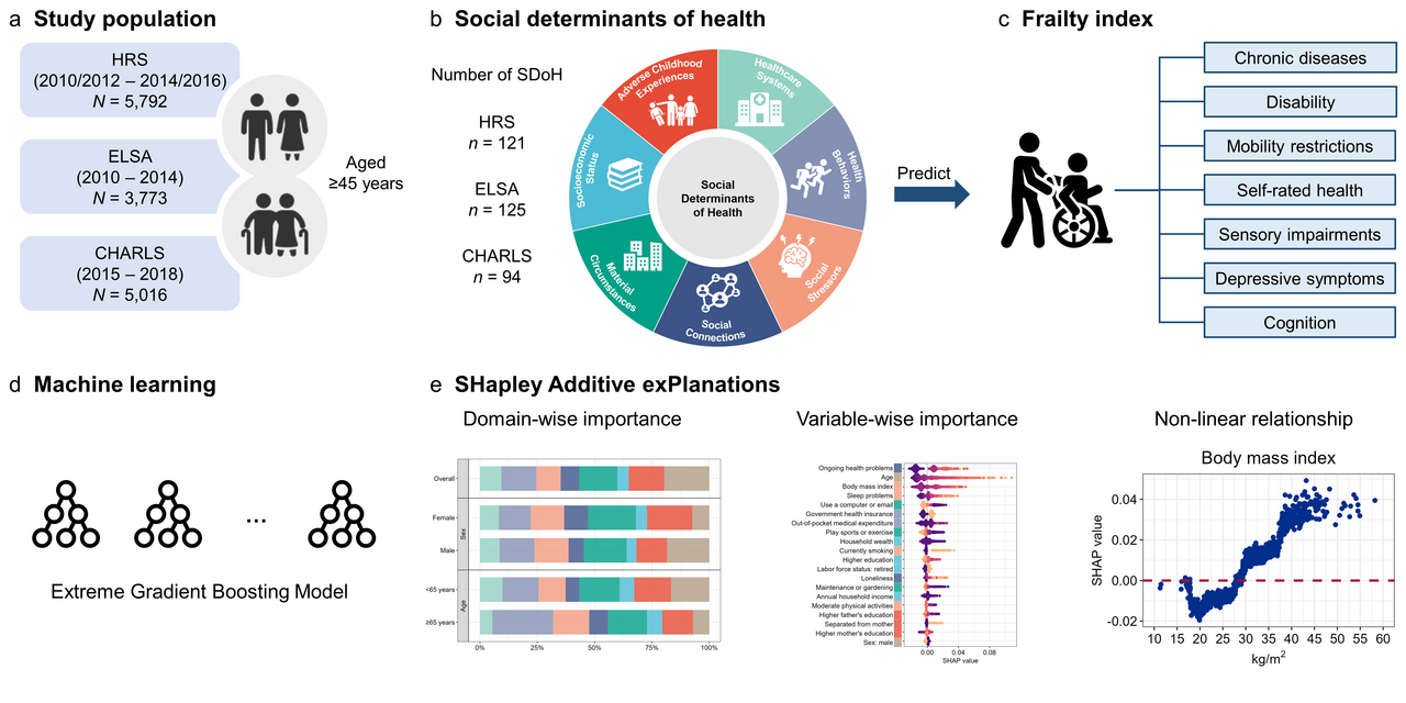 Social determinants of health (SDoH) drive frailty across nations