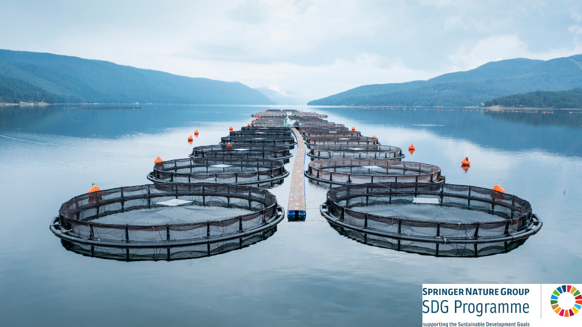 Call for papers: The future of food from the sea and oceans Collection