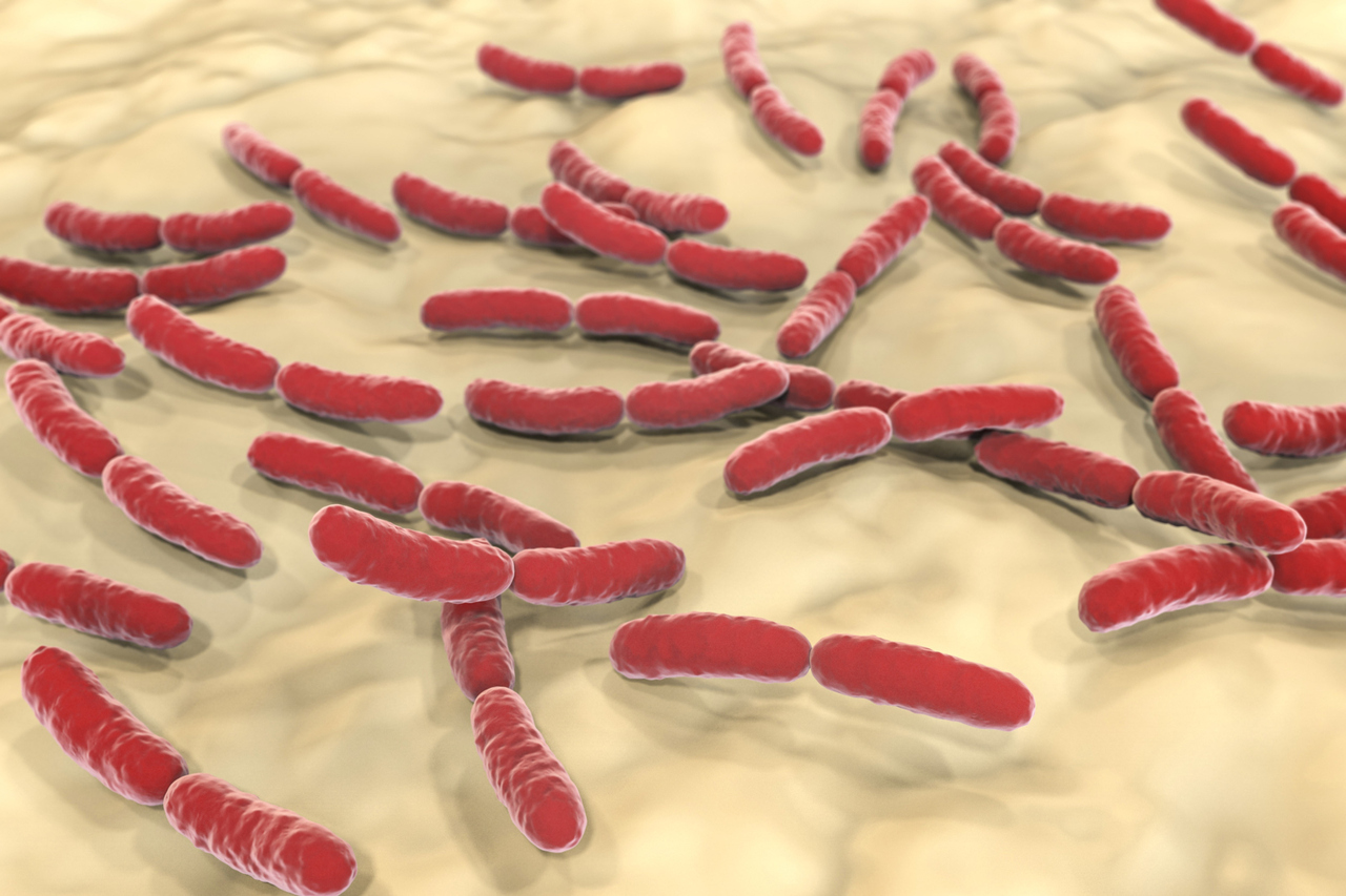 Call for papers: The reproductive microbiome Collection