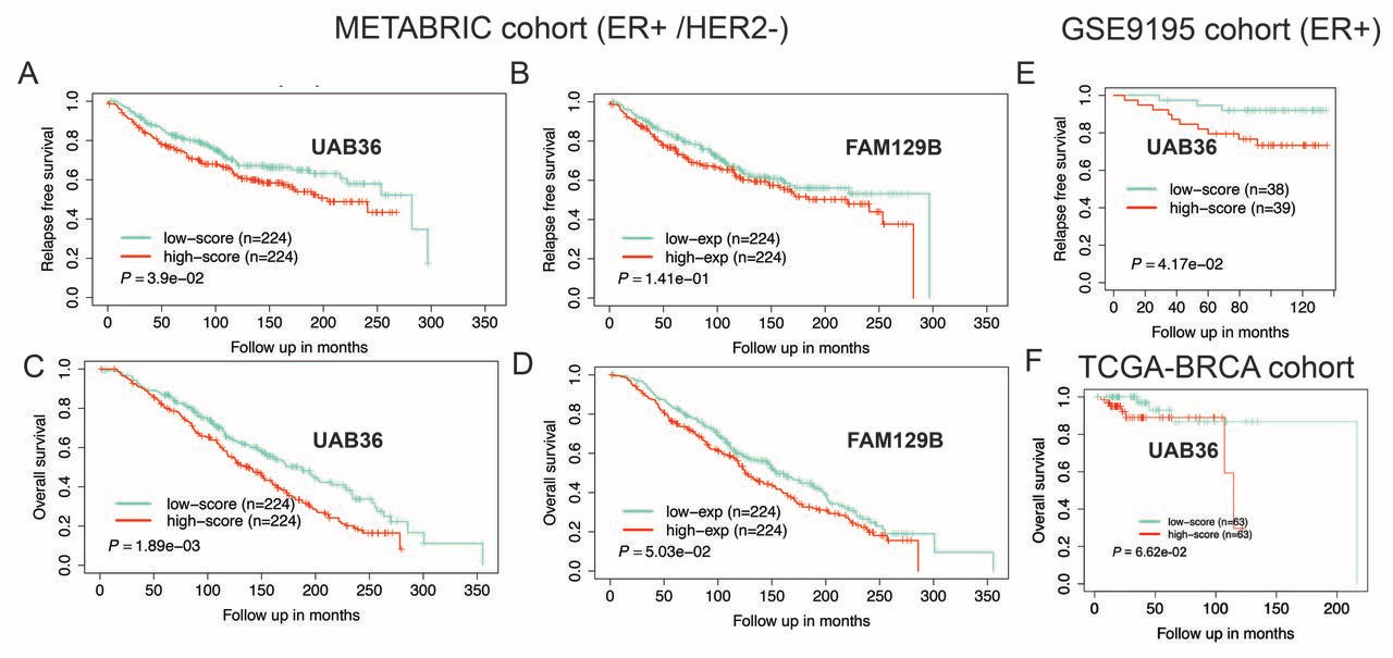 Development of a polygenic score predicting drug resistance and patient outcome in breast cancer