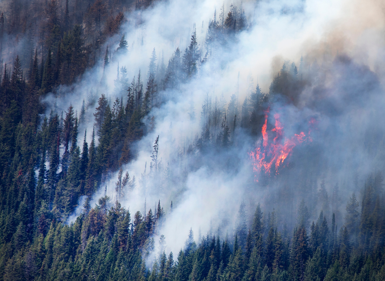 Global climate change below 2 °C avoids large end century increases in burned area in Canada