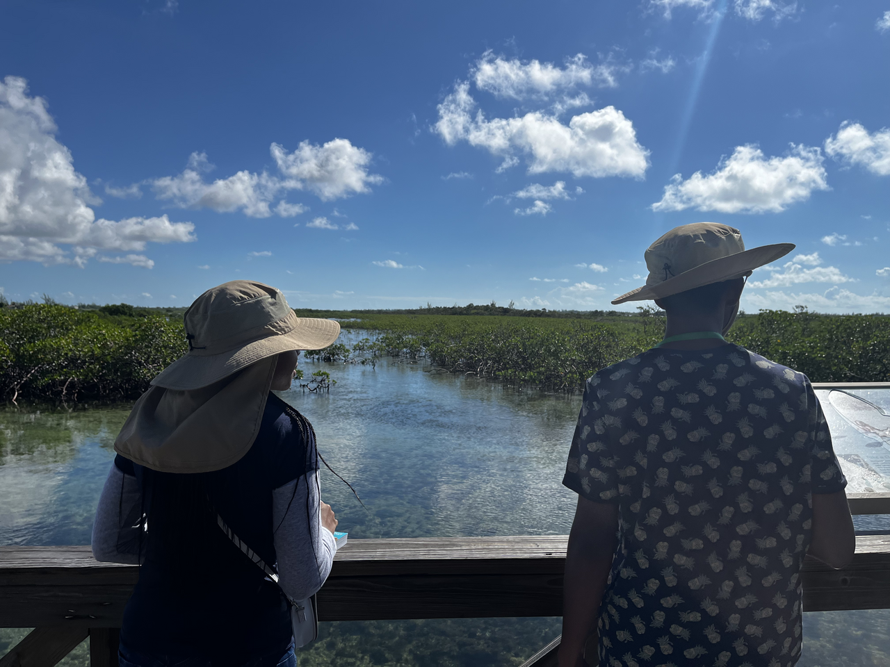 Survey to Support Organizational Culture and Intentions in Our Organizations