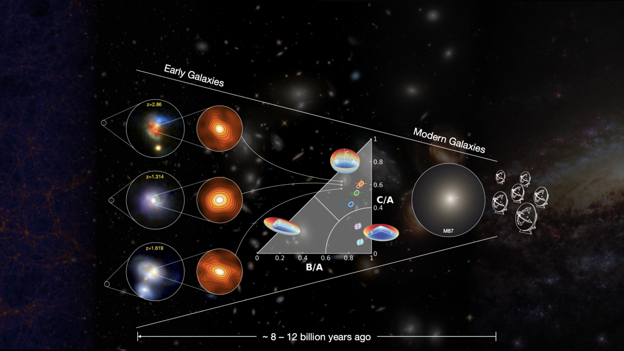 Witnessing the in-situ spheroid formation in distant starburst galaxies