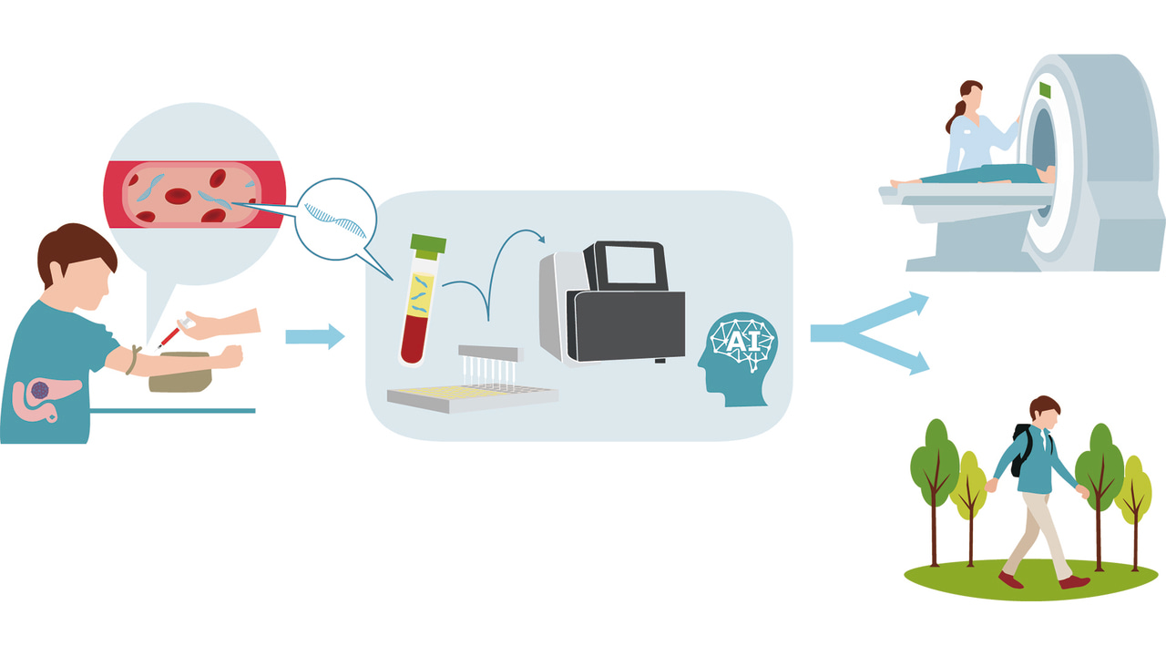 Early detection of pancreatic cancer by comprehensive serum miRNA sequencing with automated machine learning
