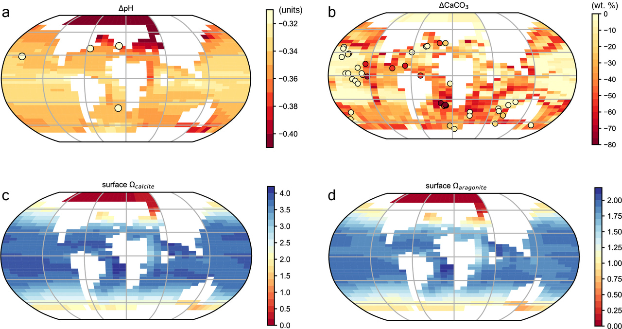 Ancient Climate Crisis Offers Key Insights Into Modern Ocean Acidification
