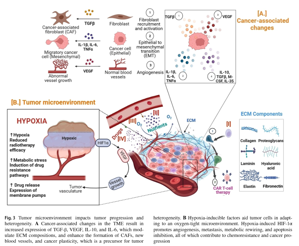 How Tumor Environments Fuel Cancer Diversity
