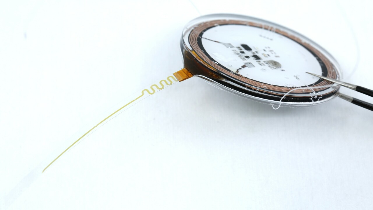 Stealthy neural recorder: Link neural activity with natural behaviours