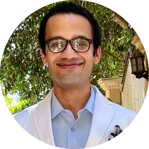 Go to the profile of Hassan Aboul-Ella