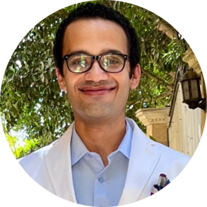 Go to the profile of Hassan Aboul-Ella