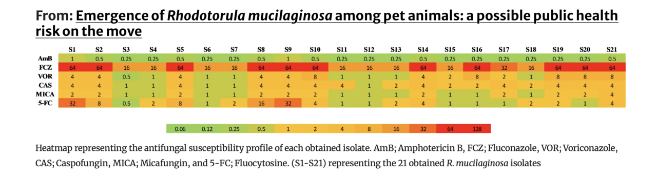Emergence of Rhodotorula mucilaginosa among pet animals: a possible public health risk on the move