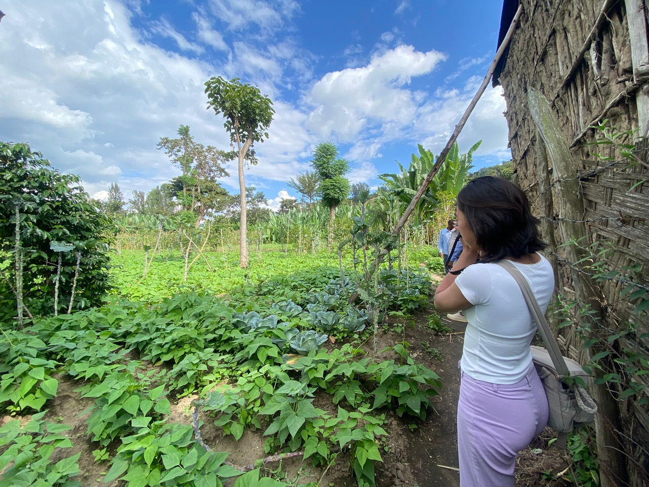 Laidlaw Scholars Network