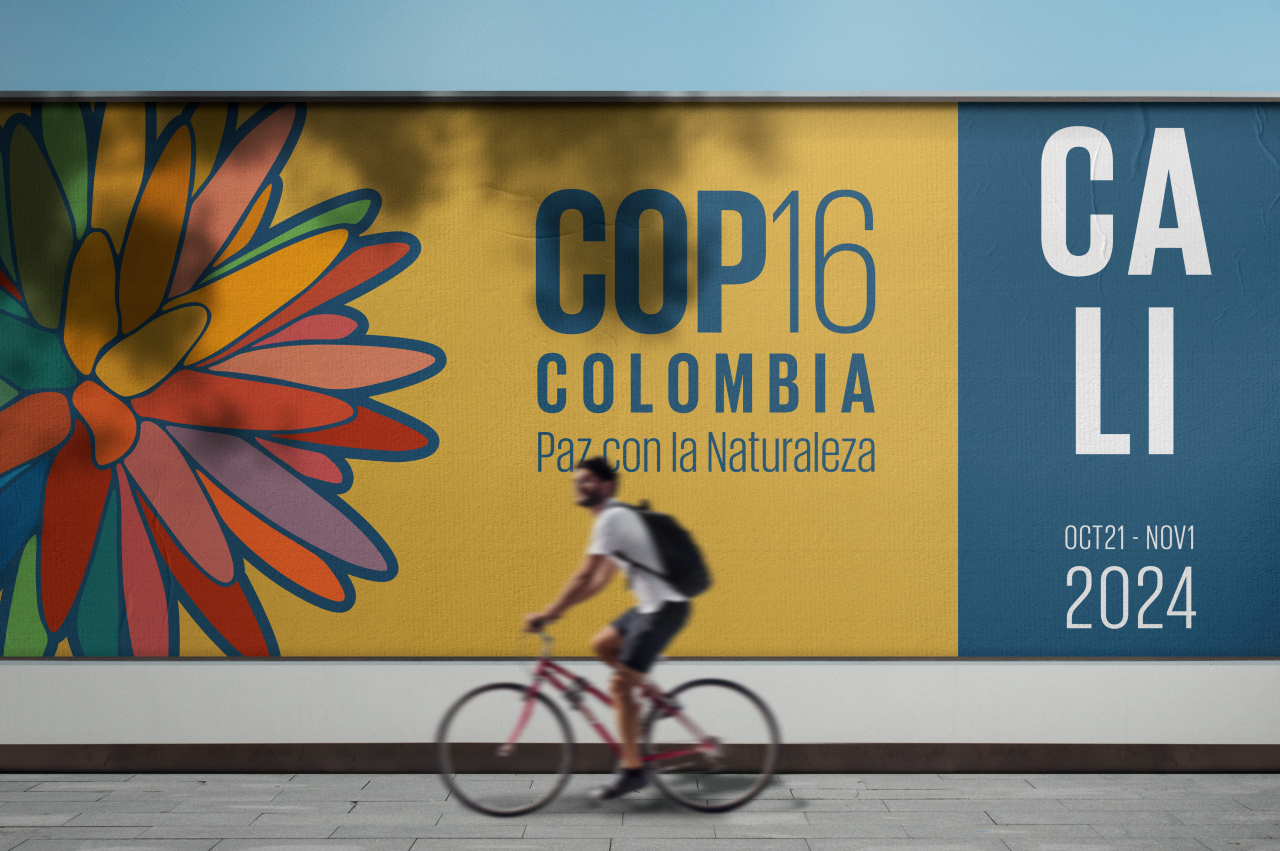 New guidance on Conservation and Human Rights launched at COP16