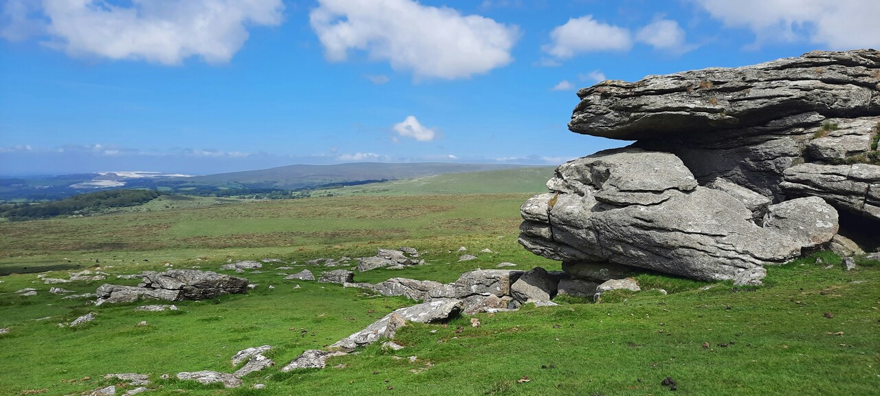 Community Walk Volunteer 