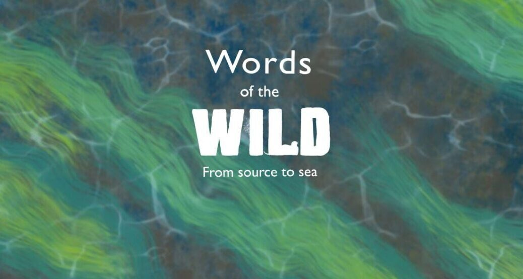 Words of the WILD 2025 competition