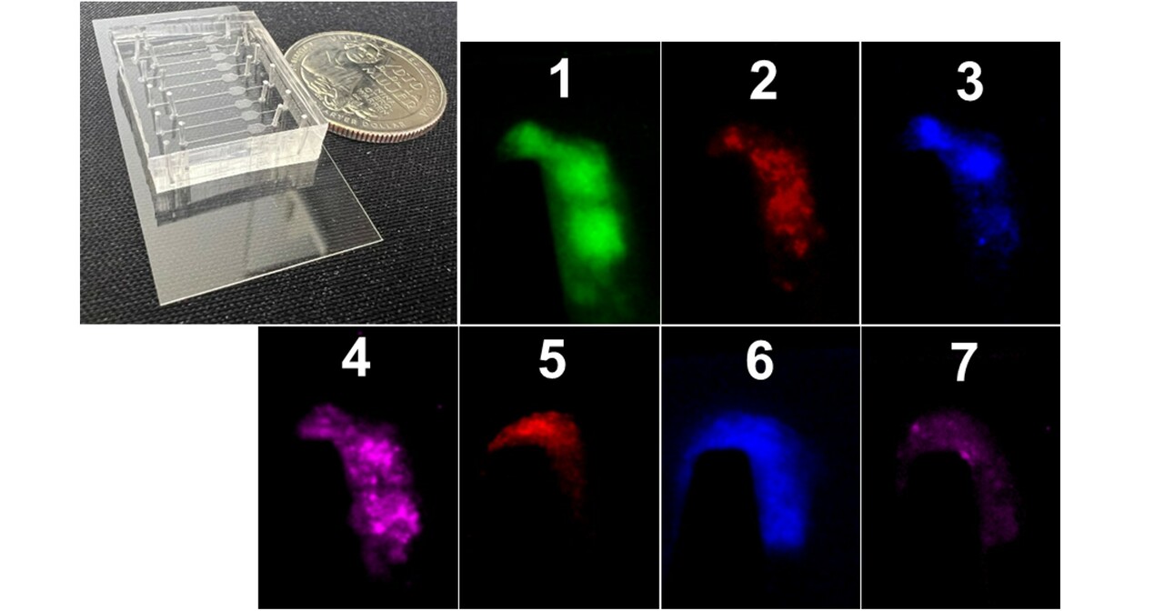 Bridging the gap: an all-around platform for evaluating biomechanical thrombogenesis