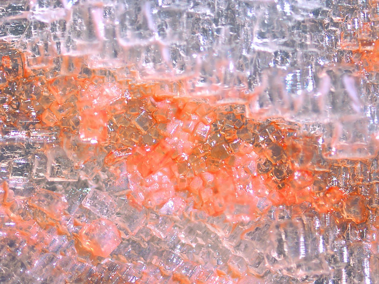 Whether bacterial or archaeal, all happy families are alike