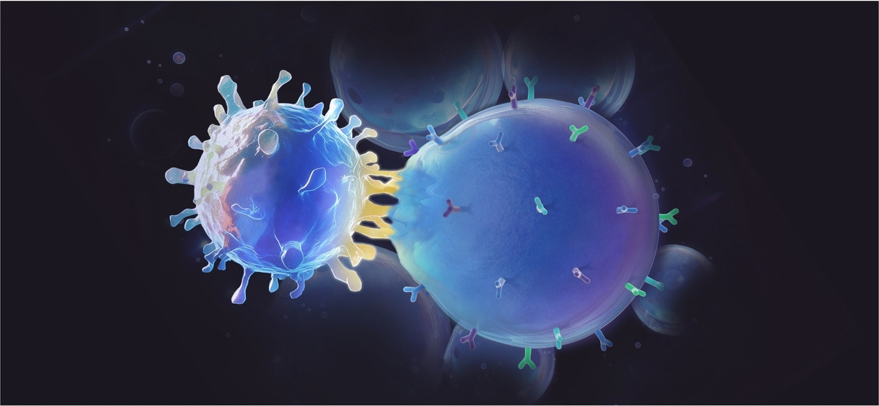 Viscoelastic synthetic antigen-presenting cells for augmenting the potency of cancer therapies
