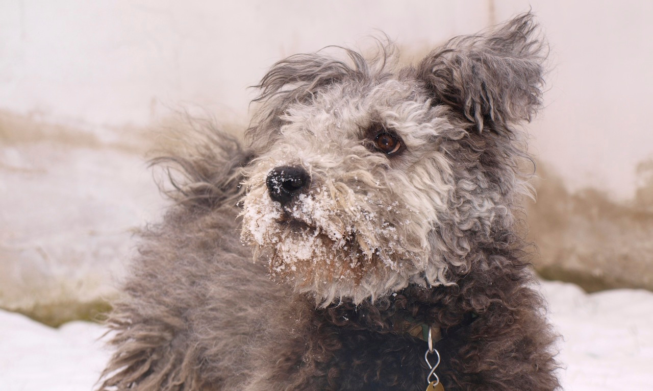 Our journey to finding reliable methods for microbiome profiling