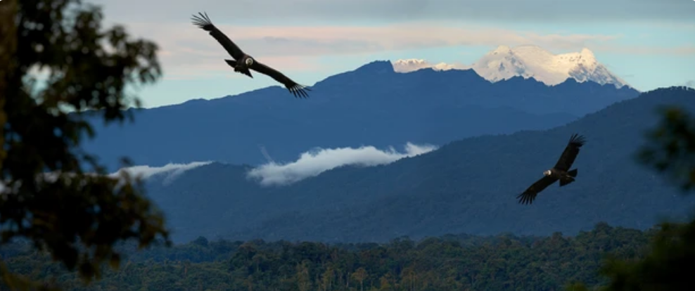 Hello! My name is Maria Angelica