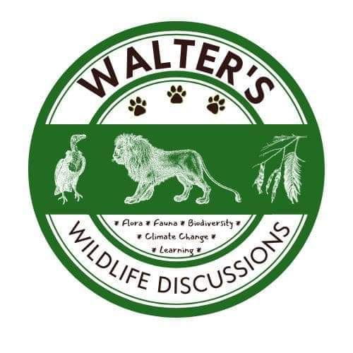 Go to the profile of Walter Ogwai Ochieng