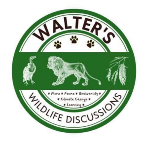 Go to the profile of Walter Ogwai Ochieng