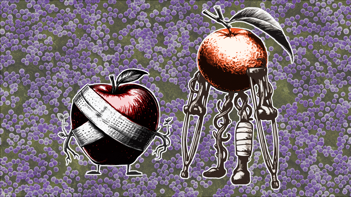 Location, Location, Location: How infection site dictates outcome during S. aureus biofilm infection