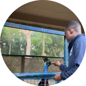 Go to the profile of Kudakwashe Magwenzi