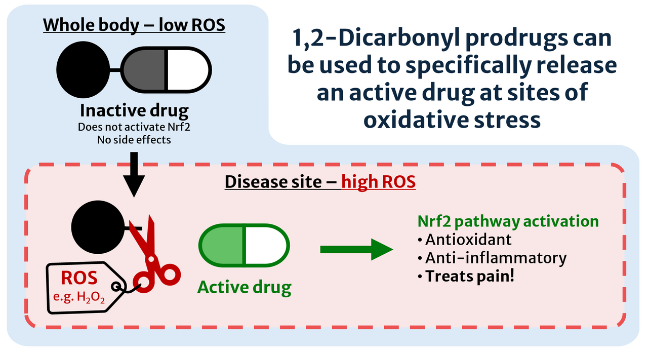Targeted treatment of oxidative stress via peroxide-activated prodrug